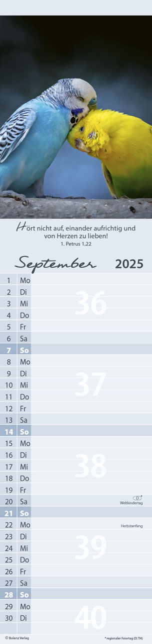 Für Euch 2025 - Streifenterminplaner