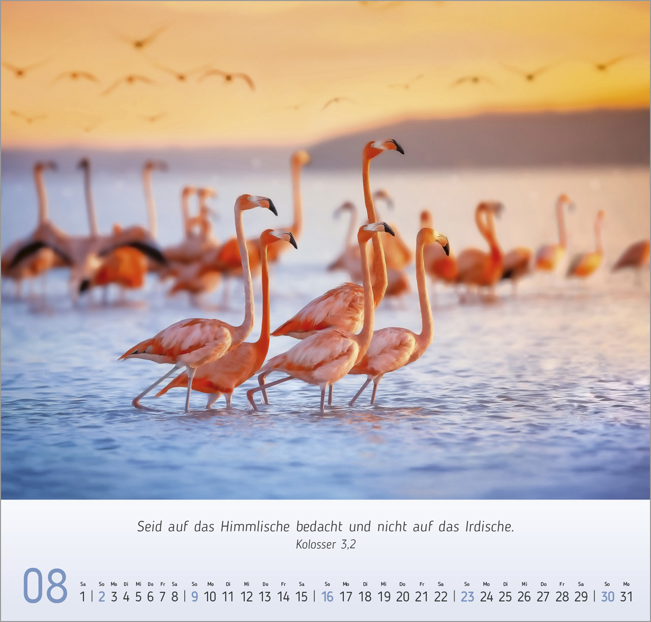 Licht Impressionen Wandkalender 2026