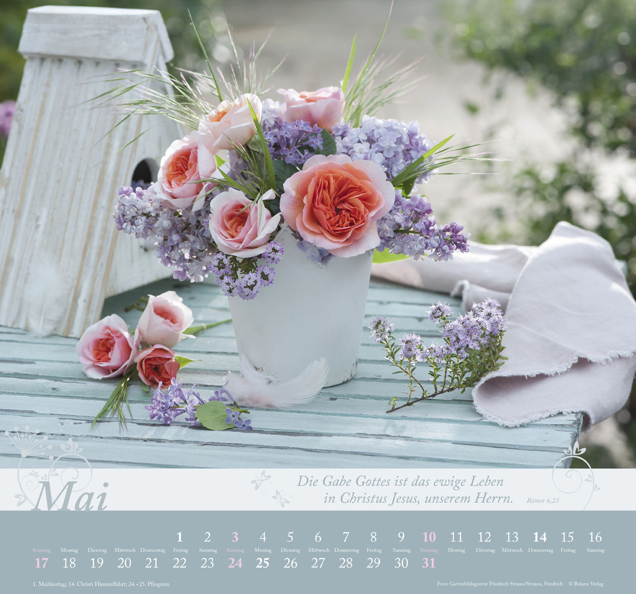 Im Garten zuhause 2026 - Wandkalender
