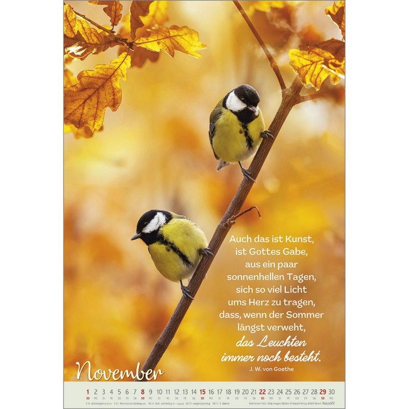 Beflügelt und getragen 2026