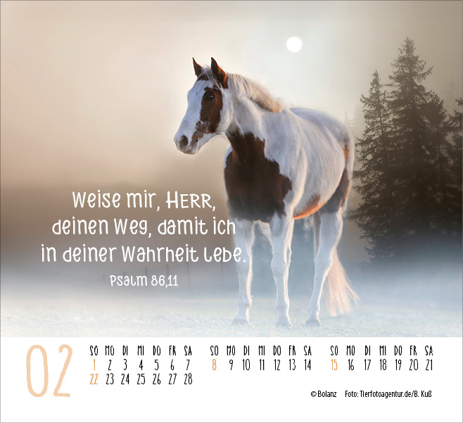 Pferde - elegante Schönheiten - Minikalender 2026 Pferde - elegante Schönheiten - Minikalender 2026