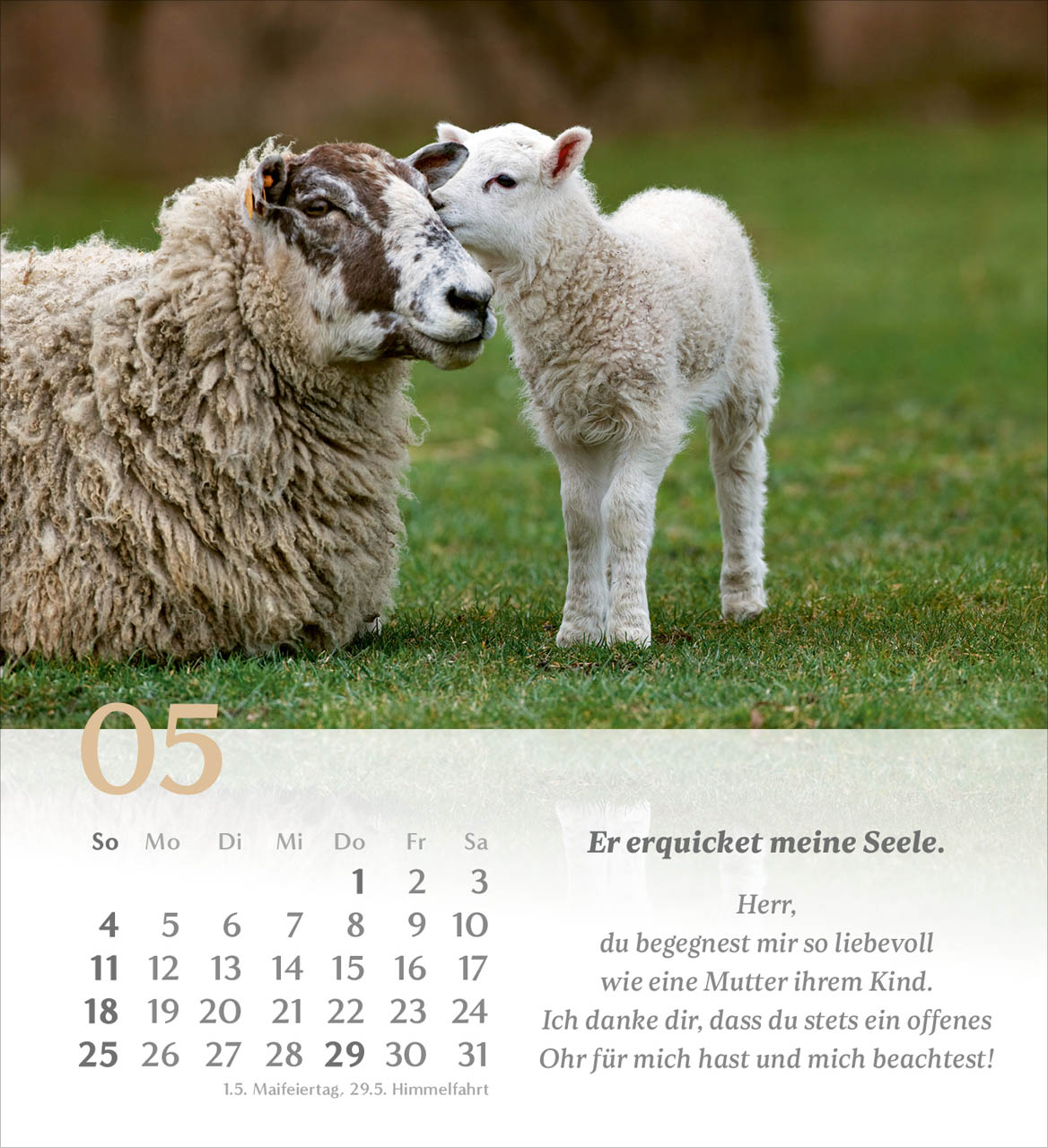 Psalm 23 Tischkalender