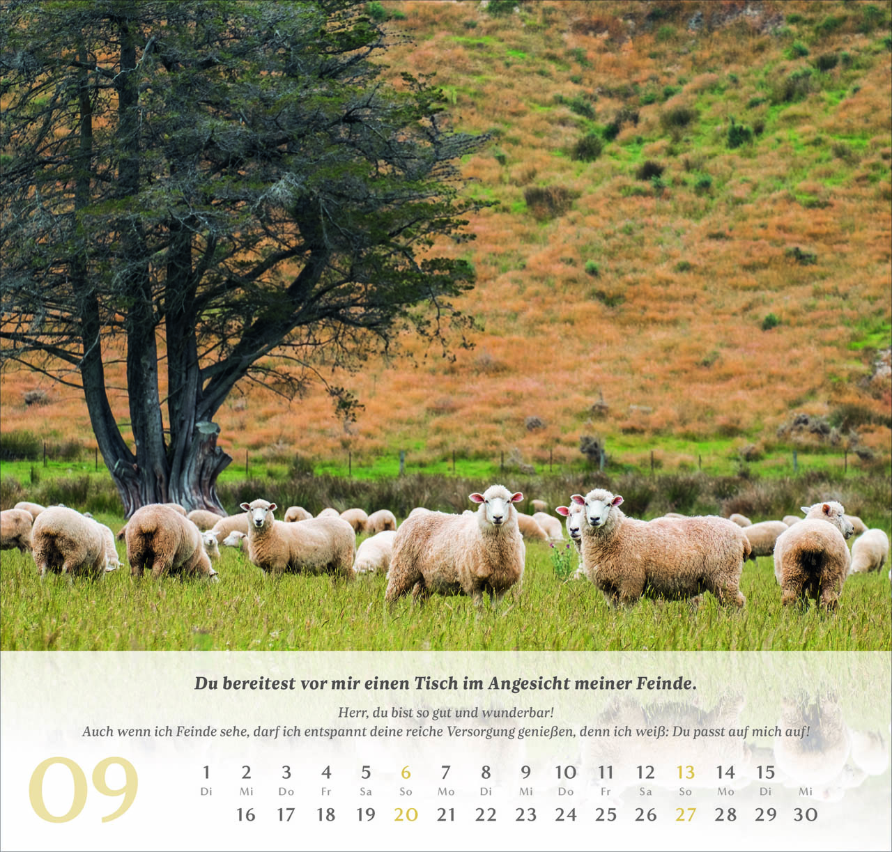 Psalm 23 Wandkalender 2026