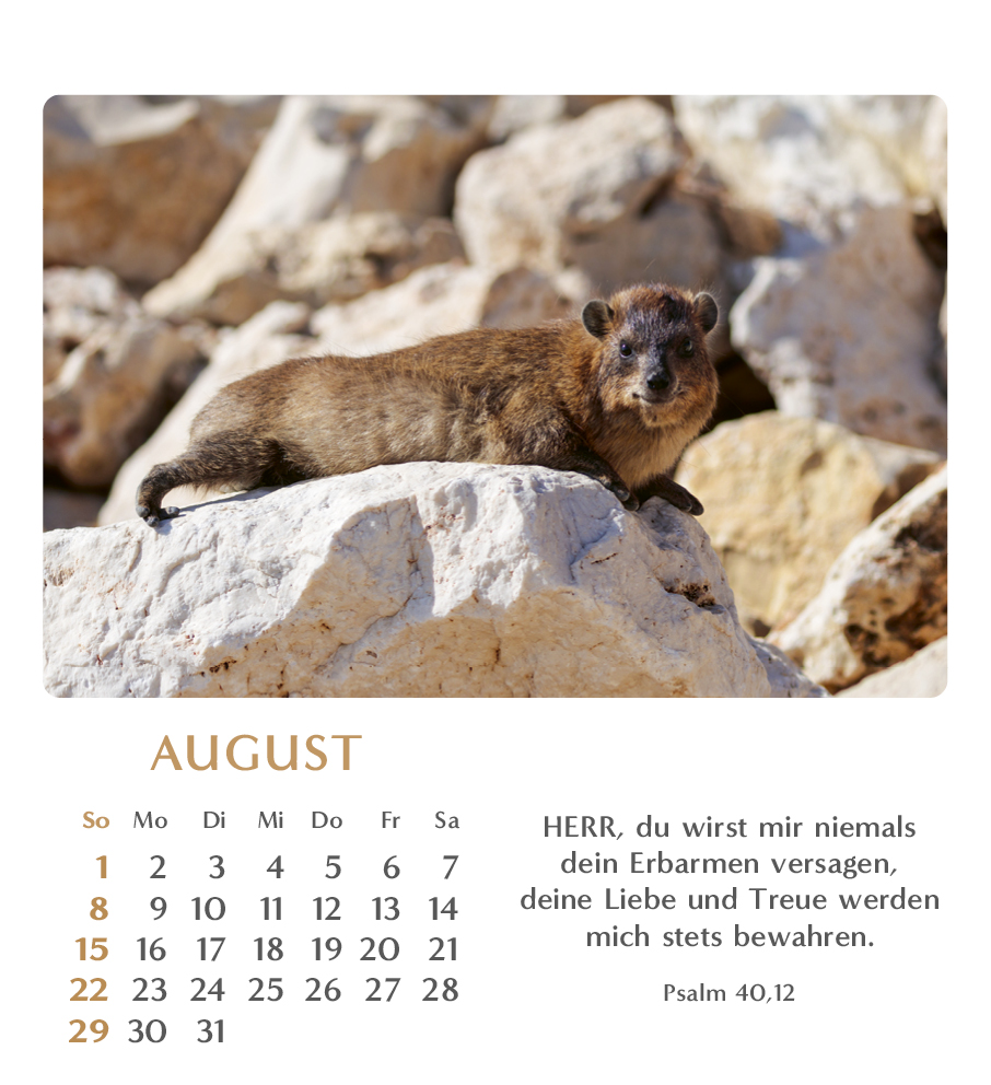 Geliebtes Israel 2027 – Tischkalender