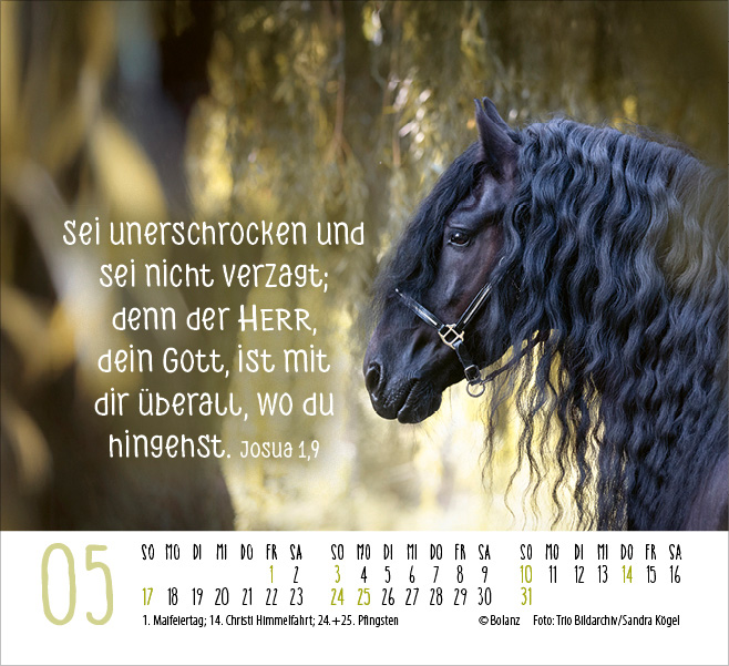 Pferde - elegante Schönheiten - Minikalender 2026 Pferde - elegante Schönheiten - Minikalender 2026