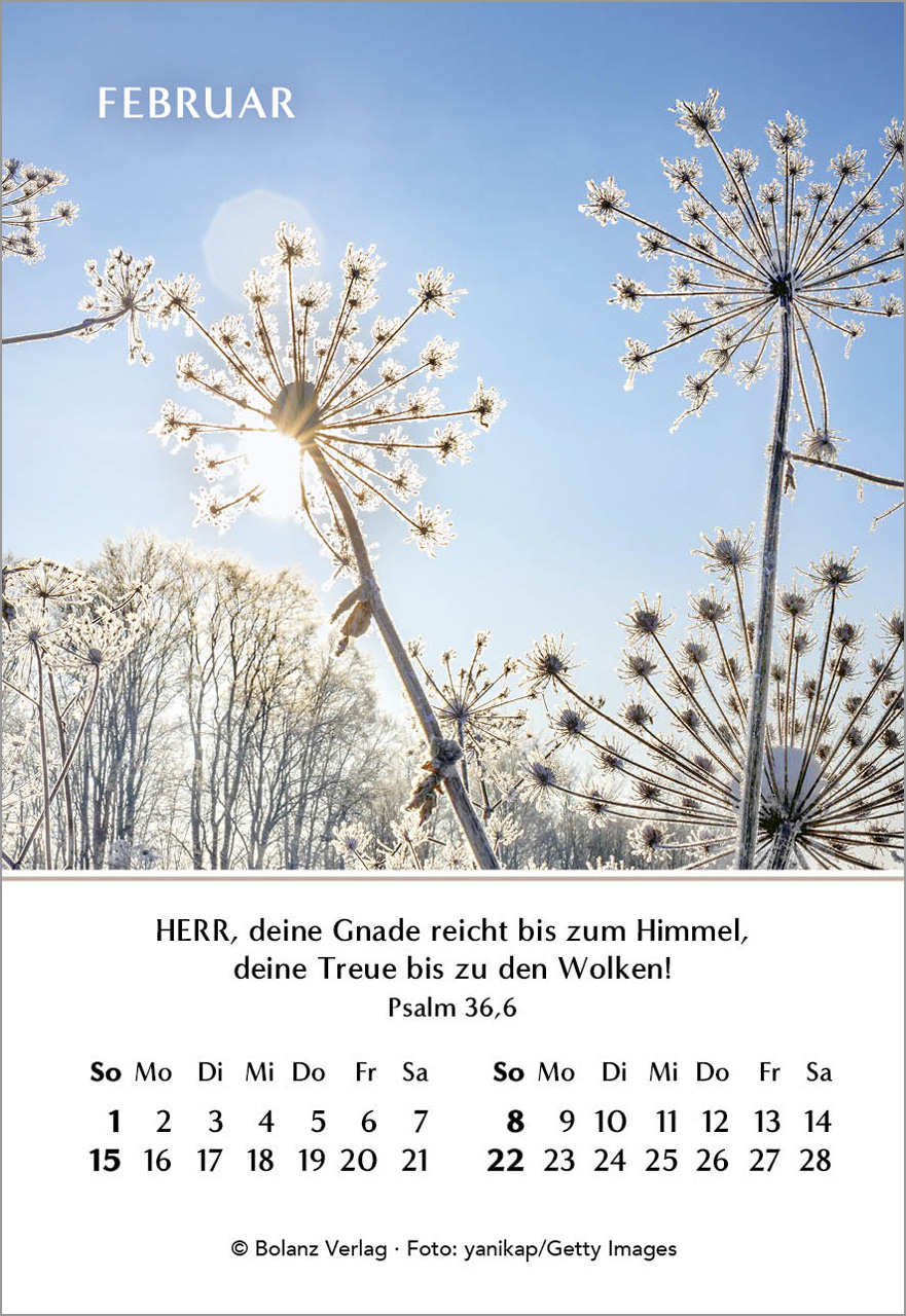 Ein Jahr der Hoffnung Mini-Kalender 2026