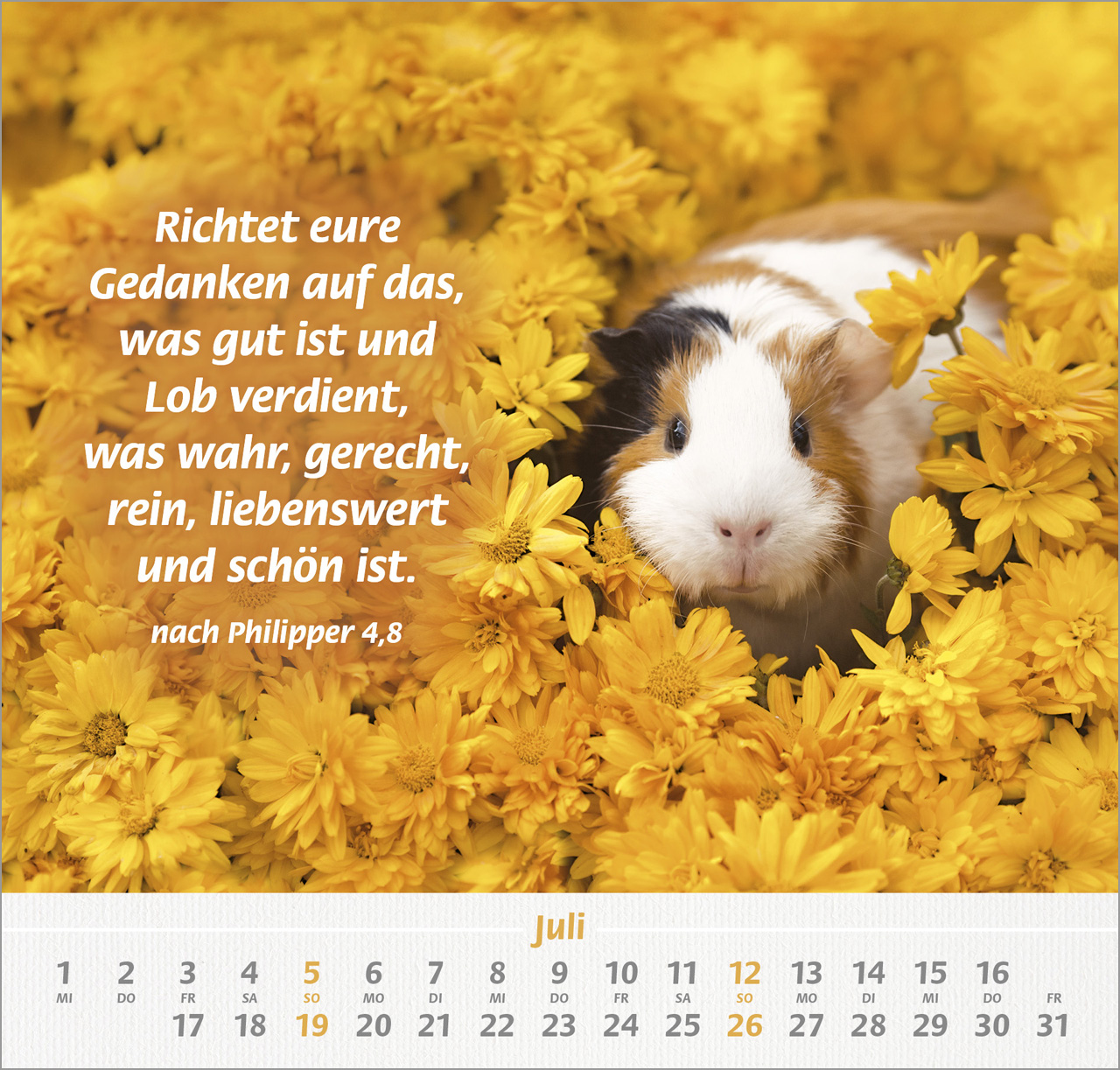 Ich hab dich gern Wandkalender 2026