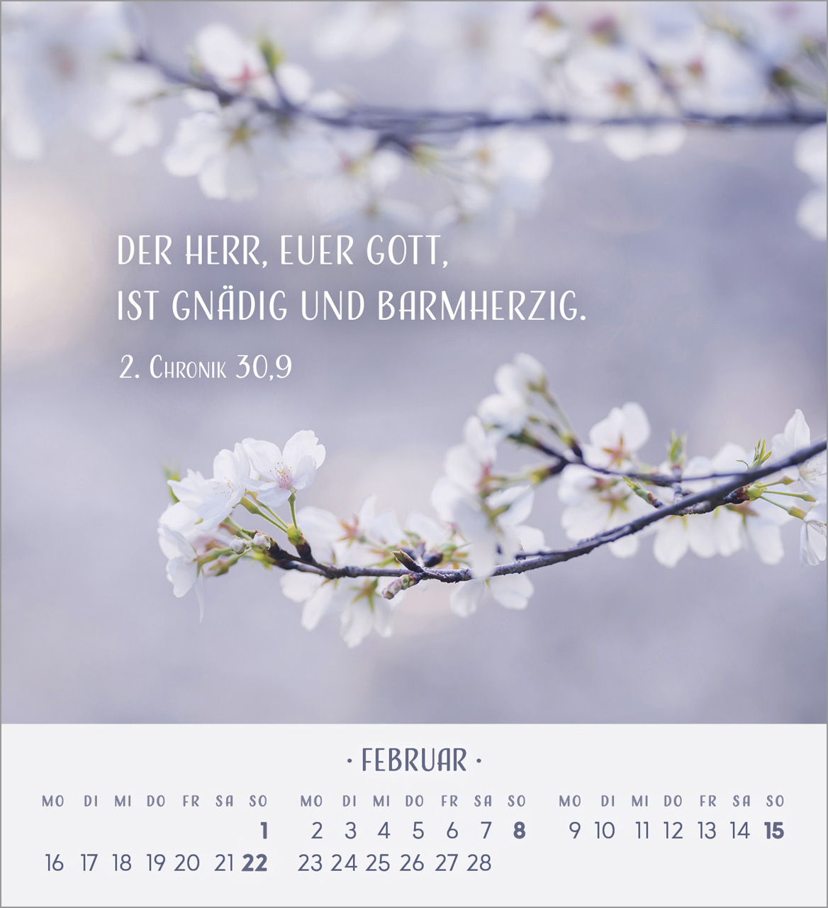 Zarte Blumengrüße Tischkalender 2026