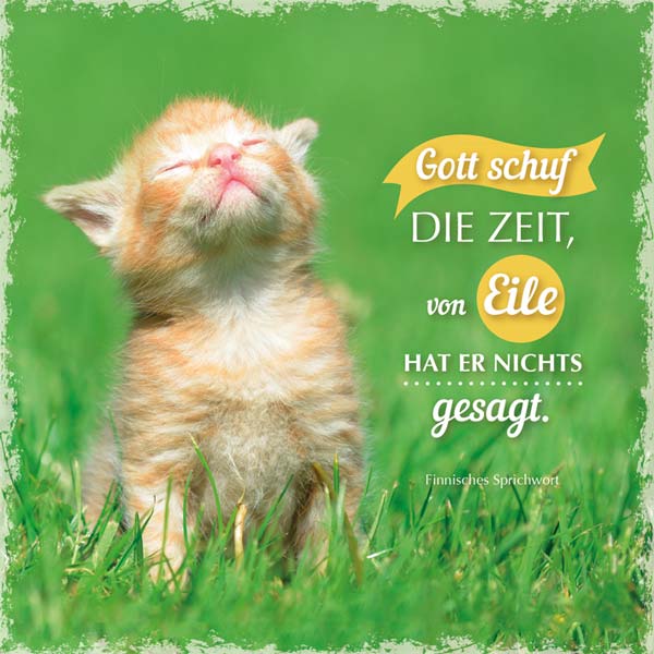 Metallschild Gott schuf die Zeit/Katze