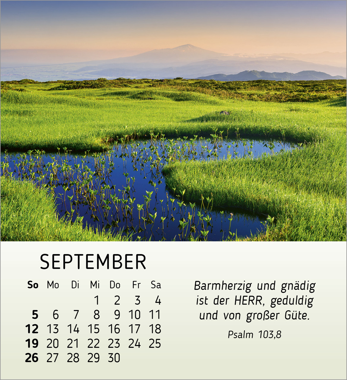 Schönheit des Lichts 2027 – Tischkalender
