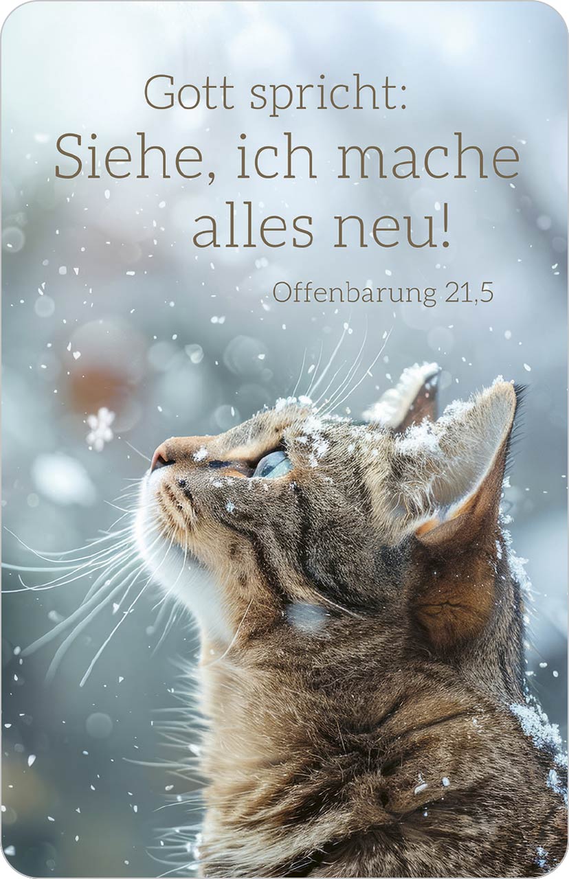 Kalenderkärtchen "Katze" 2026