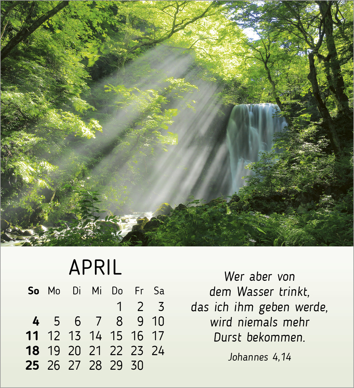 Schönheit des Lichts 2027 – Tischkalender