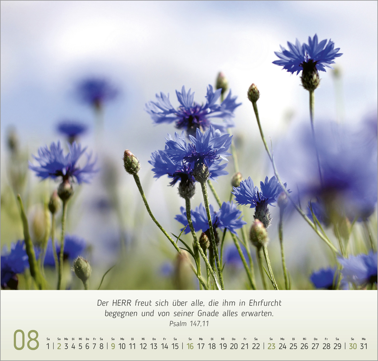 Blumen-Impressionen Wandkalender 2026