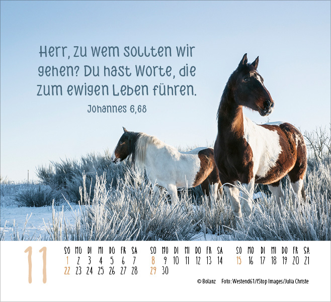 Pferde - elegante Schönheiten - Minikalender 2026 Pferde - elegante Schönheiten - Minikalender 2026