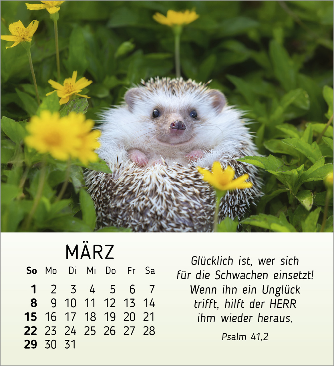 Meine kleinen Freunde 2026 - Tischkalender Meine kleinen Freunde 2026 - Tischkalender