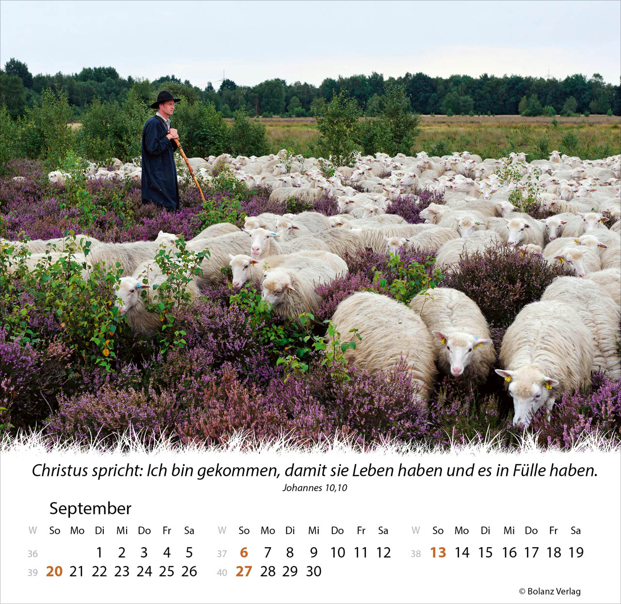 Ein Leben für die Schafe 2026 - Tischkalender