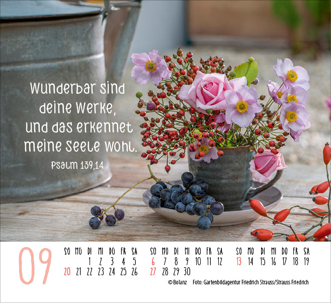 Harmonien für die Seele 2026 - Minikalender