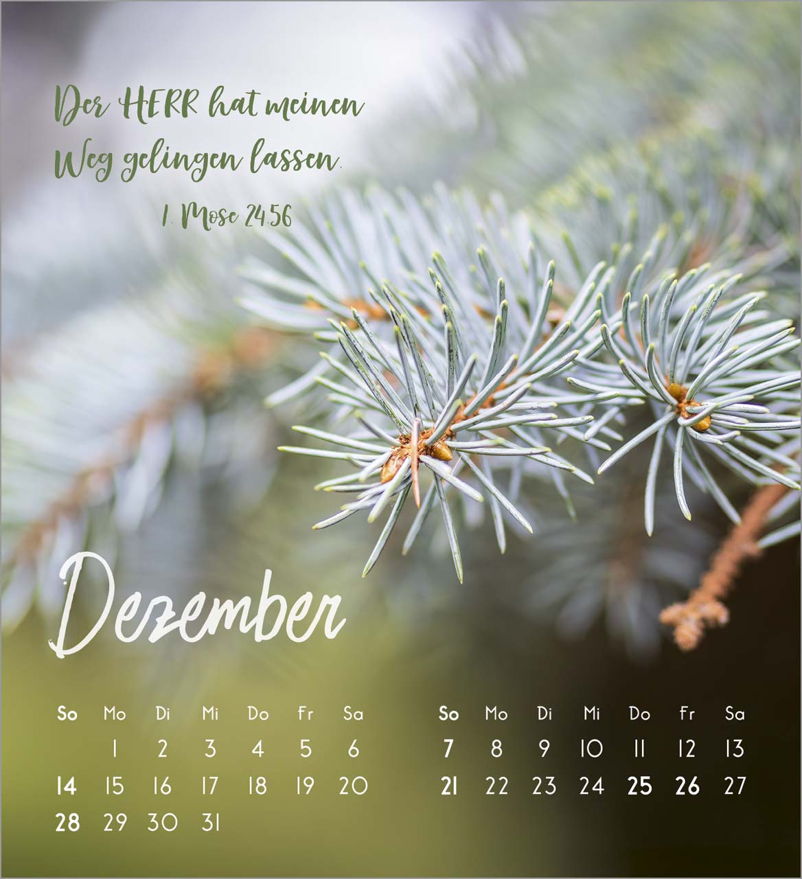 Zarte Blumengrüße Tischkalender