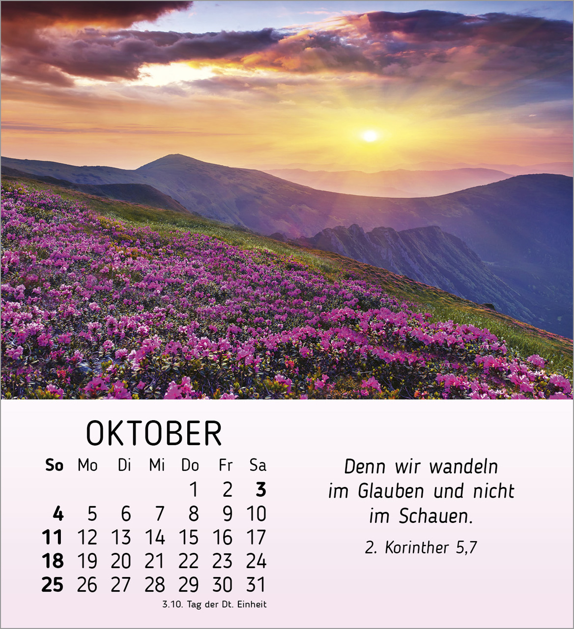 Schöheit des Lichts Tischkalender 2026 Schöheit des Lichts Tischkalender 2026