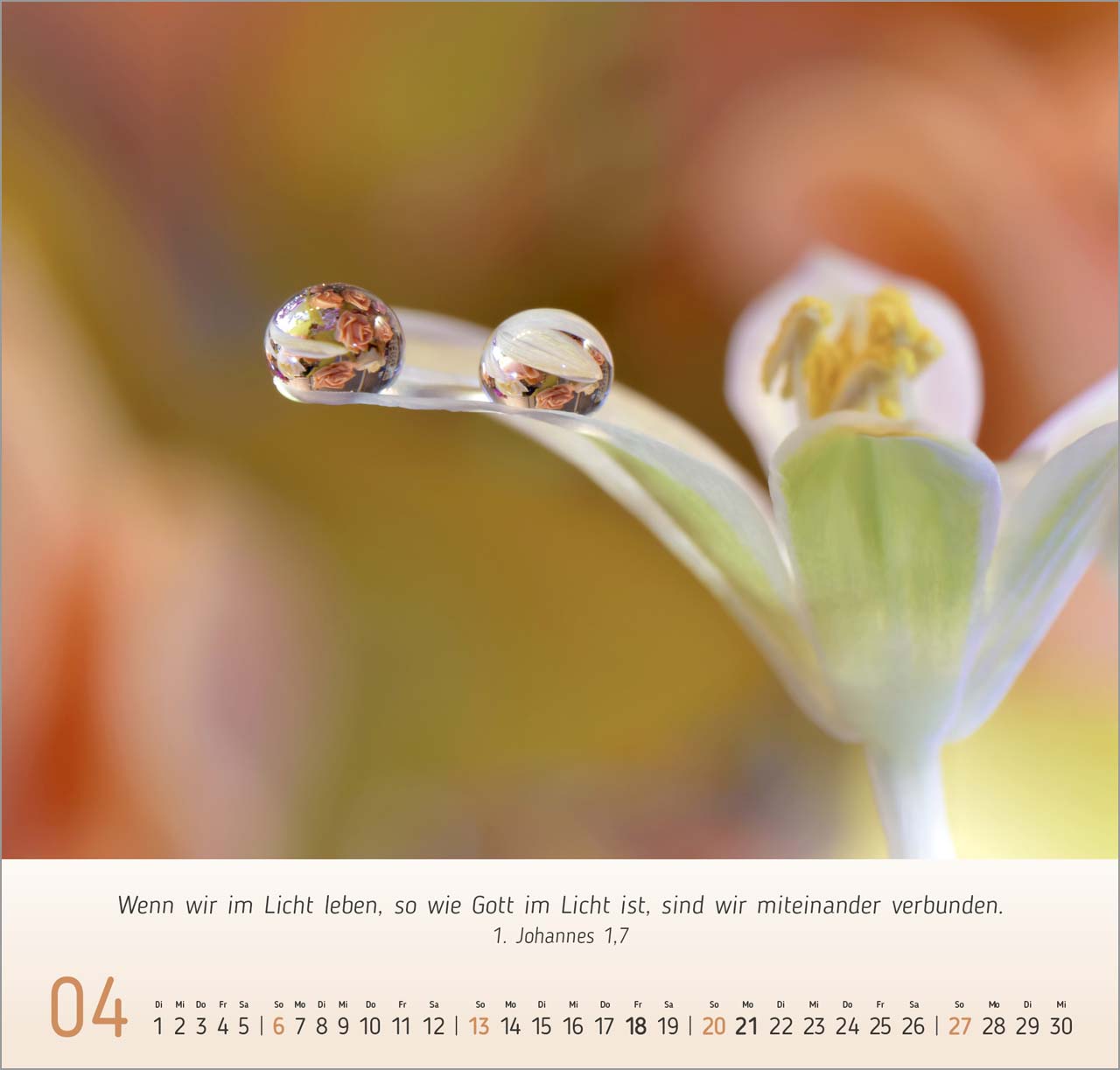 Gesichter der Natur Wandkalender