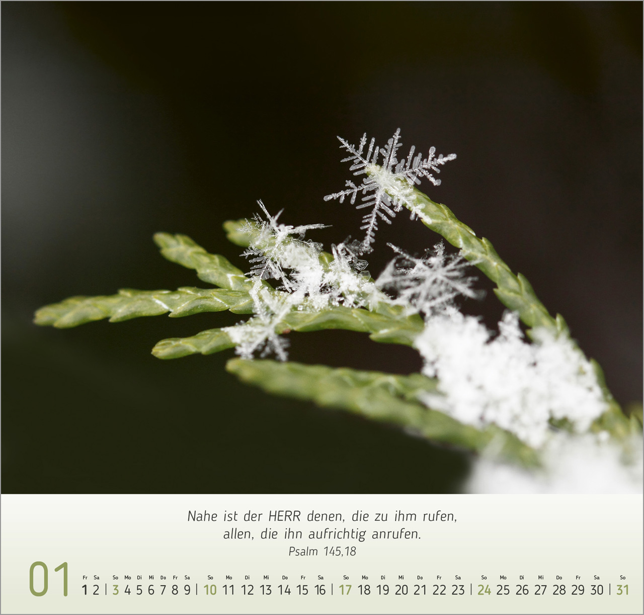 Gesichter der Natur 2027 – Wandkalender