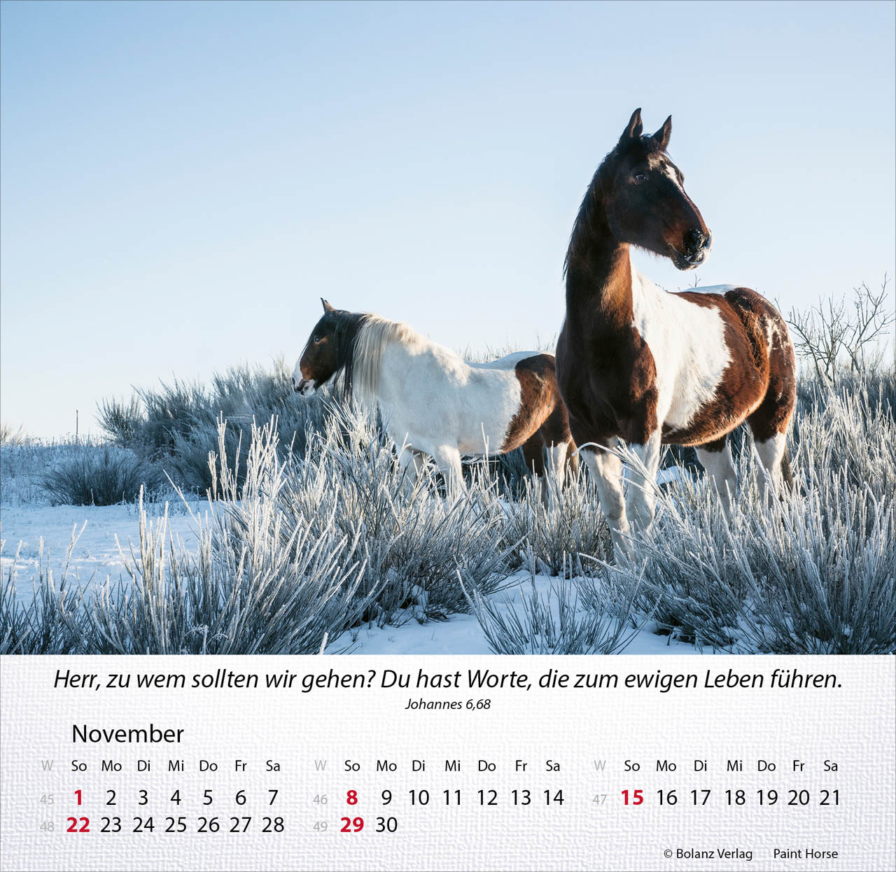 Pferde 2026 - Tischkalender