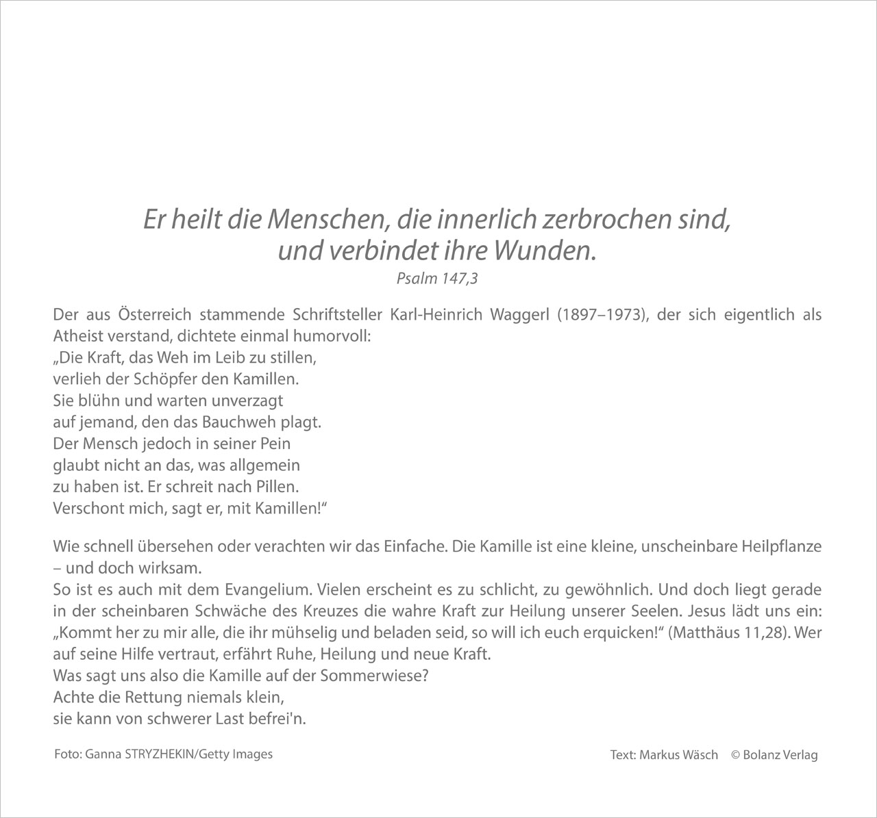Meine Zeit 2027 – Wandkalender