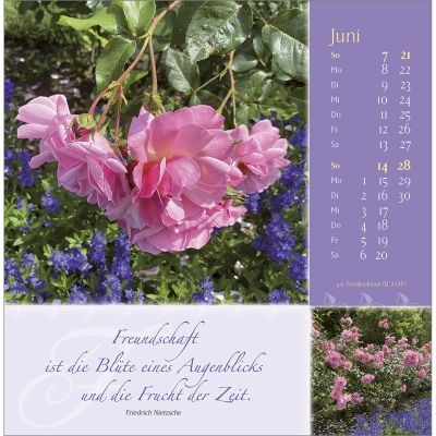 Rosenduft mit lieben Wünschen 2026