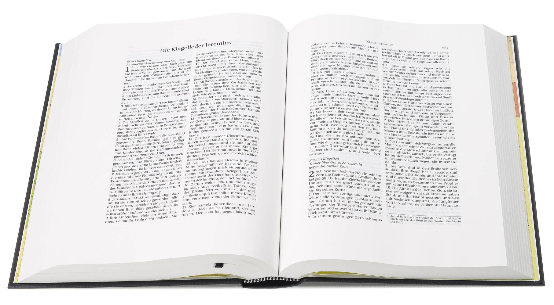 Schlachter 2000 Bibel – Schreibrandausgabe (Hardcover, anthrazit)