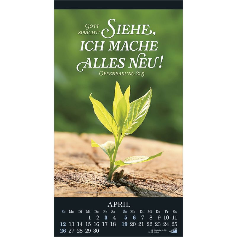 Die Wunder deiner Werke 2026