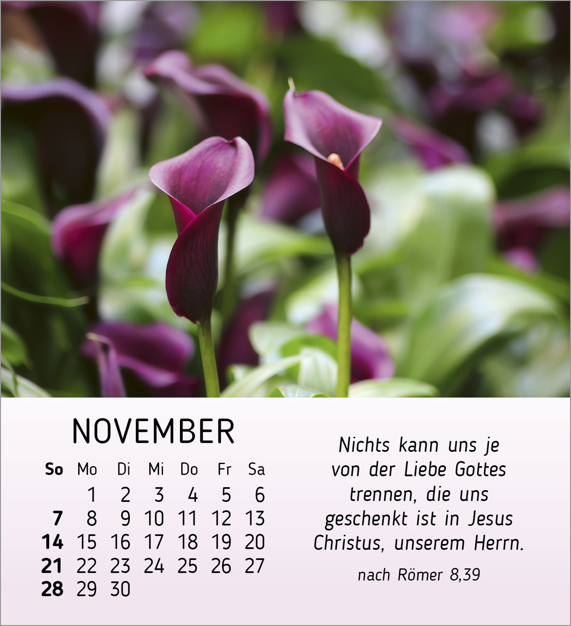 Ich wünsche dir Freude 2027 – Tischkalender