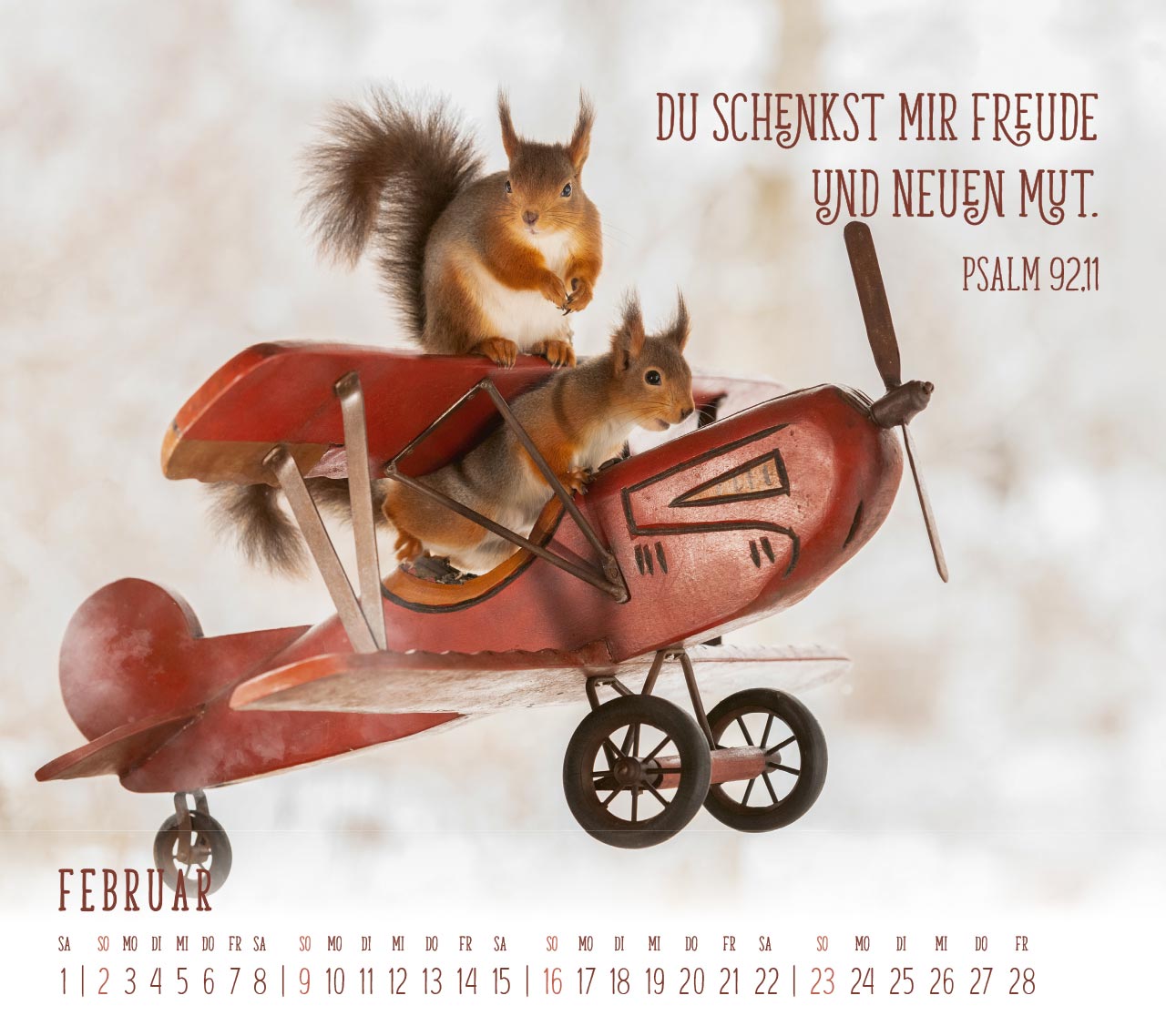 Du sorgst für mich - Eichhörnchen Kalender