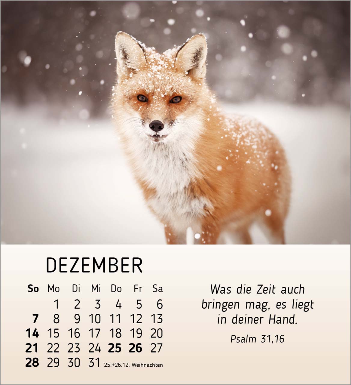 Meine kleinen Freunde 2025 - Tischkalender