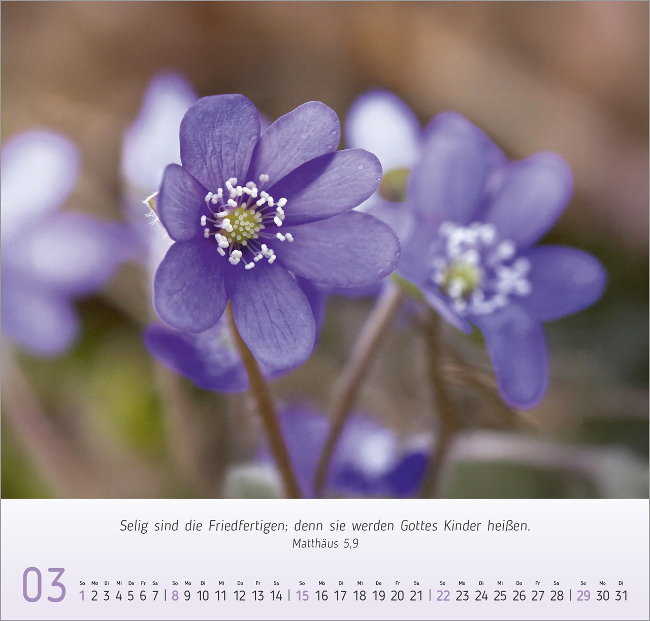 Blumen-Impressionen Wandkalender 2026