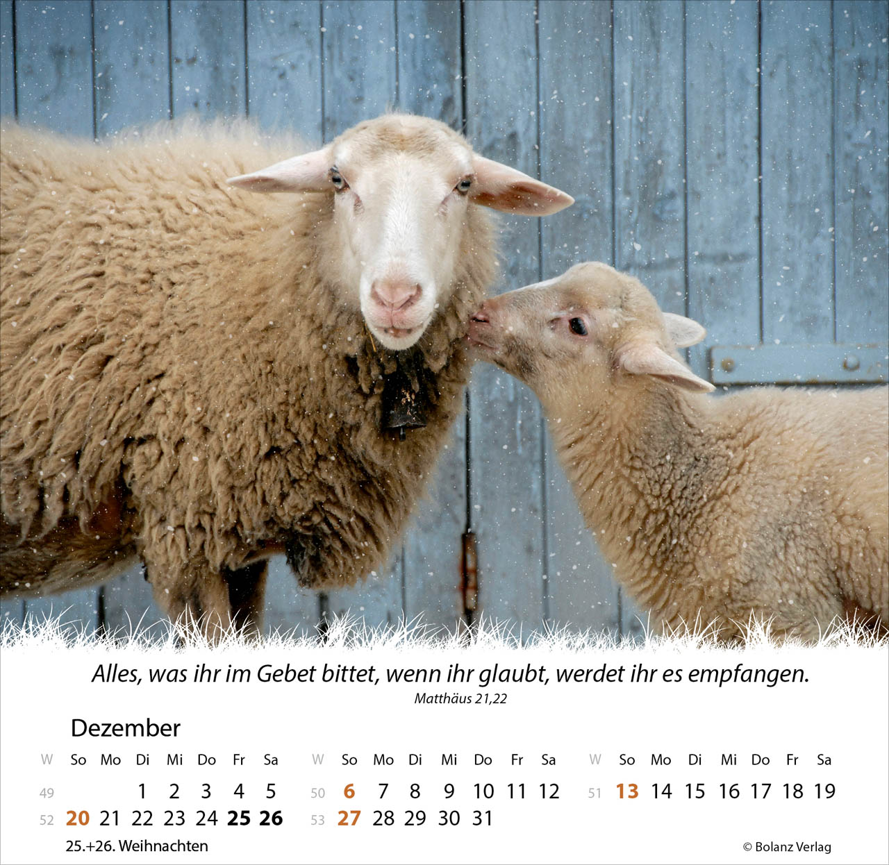 Ein Leben für die Schafe 2026 - Tischkalender