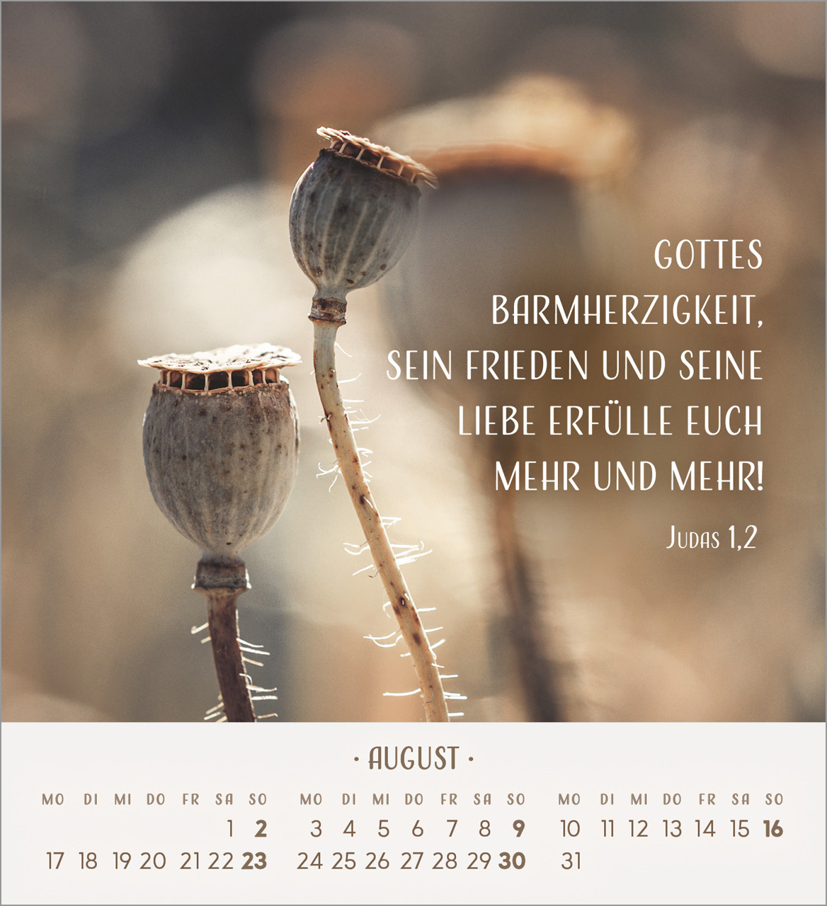 Zarte Blumengrüße Tischkalender 2026