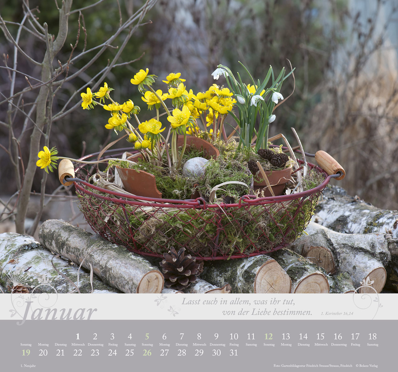 Im Garten zu Hause 2025 - Wandkalender