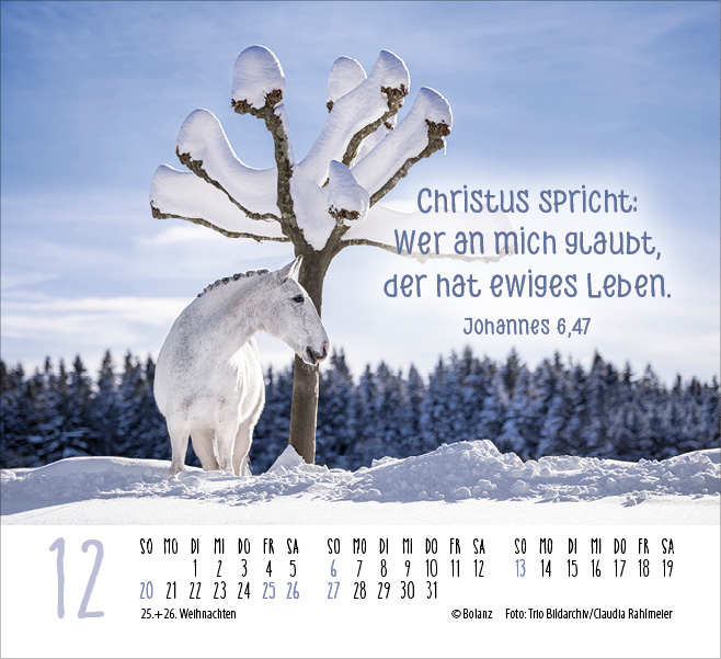 Pferde - elegante Schönheiten - Minikalender 2026 Pferde - elegante Schönheiten - Minikalender 2026