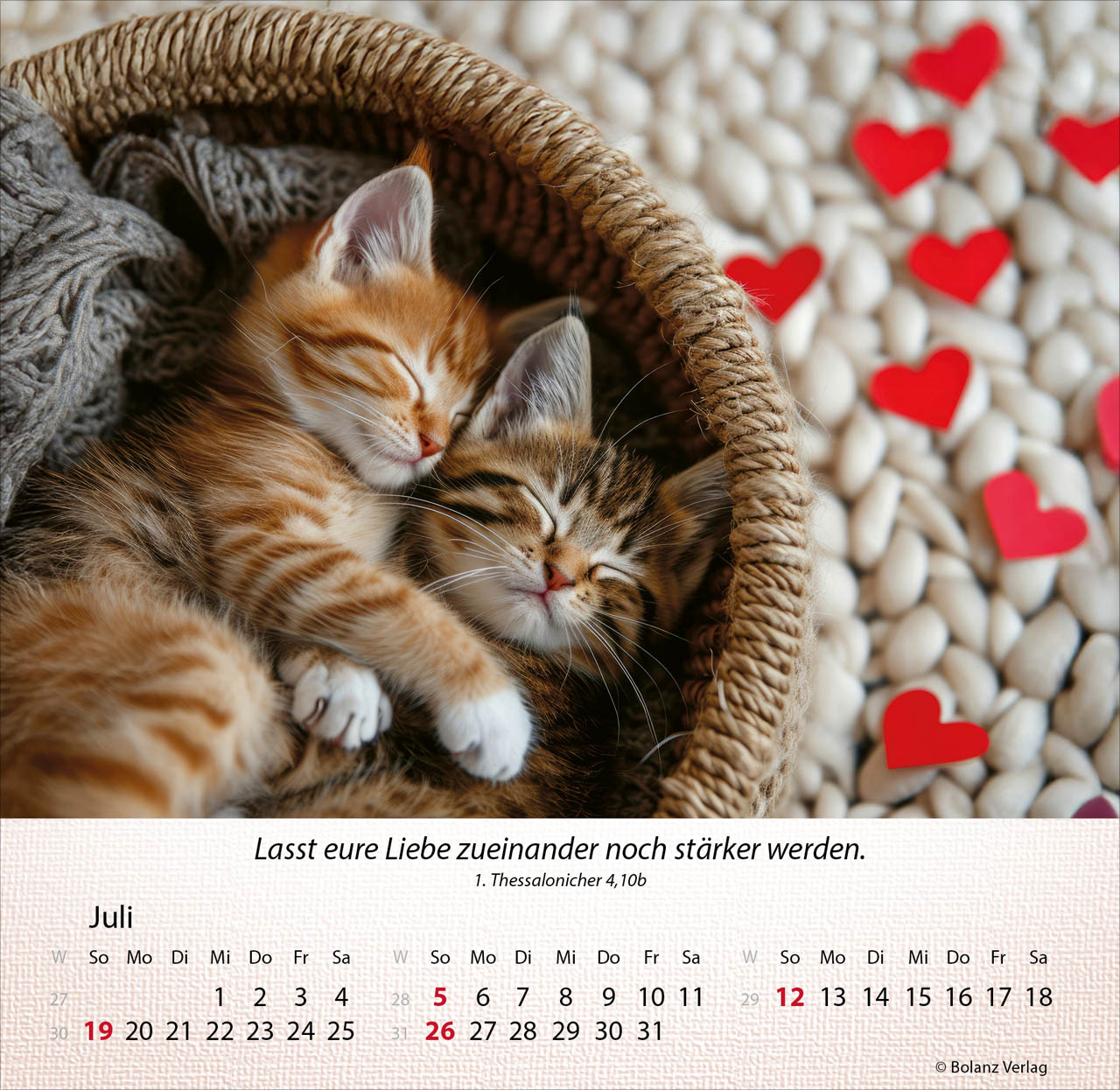 Katzen 2026 - Tischkalender Katzen 2026 - Tischkalender