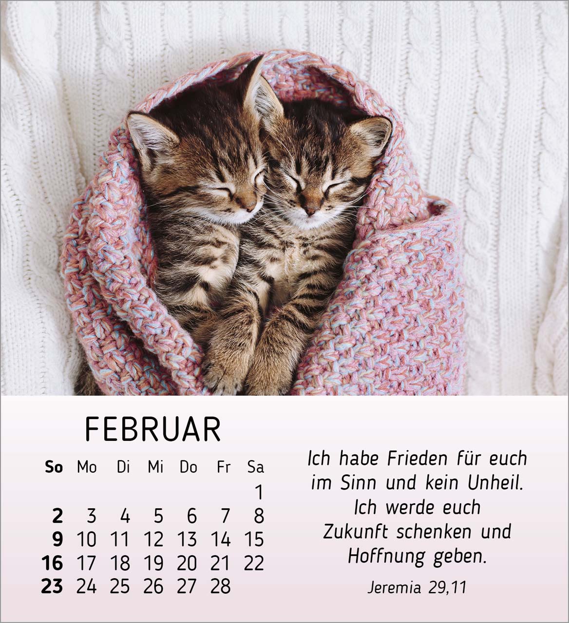 Meine kleinen Freunde 2025 - Tischkalender