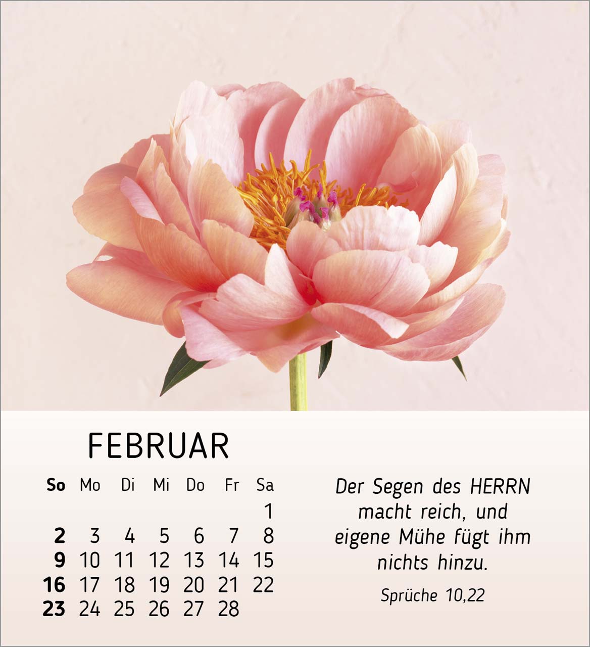 Ich wünsche dir Freude Tischkalender