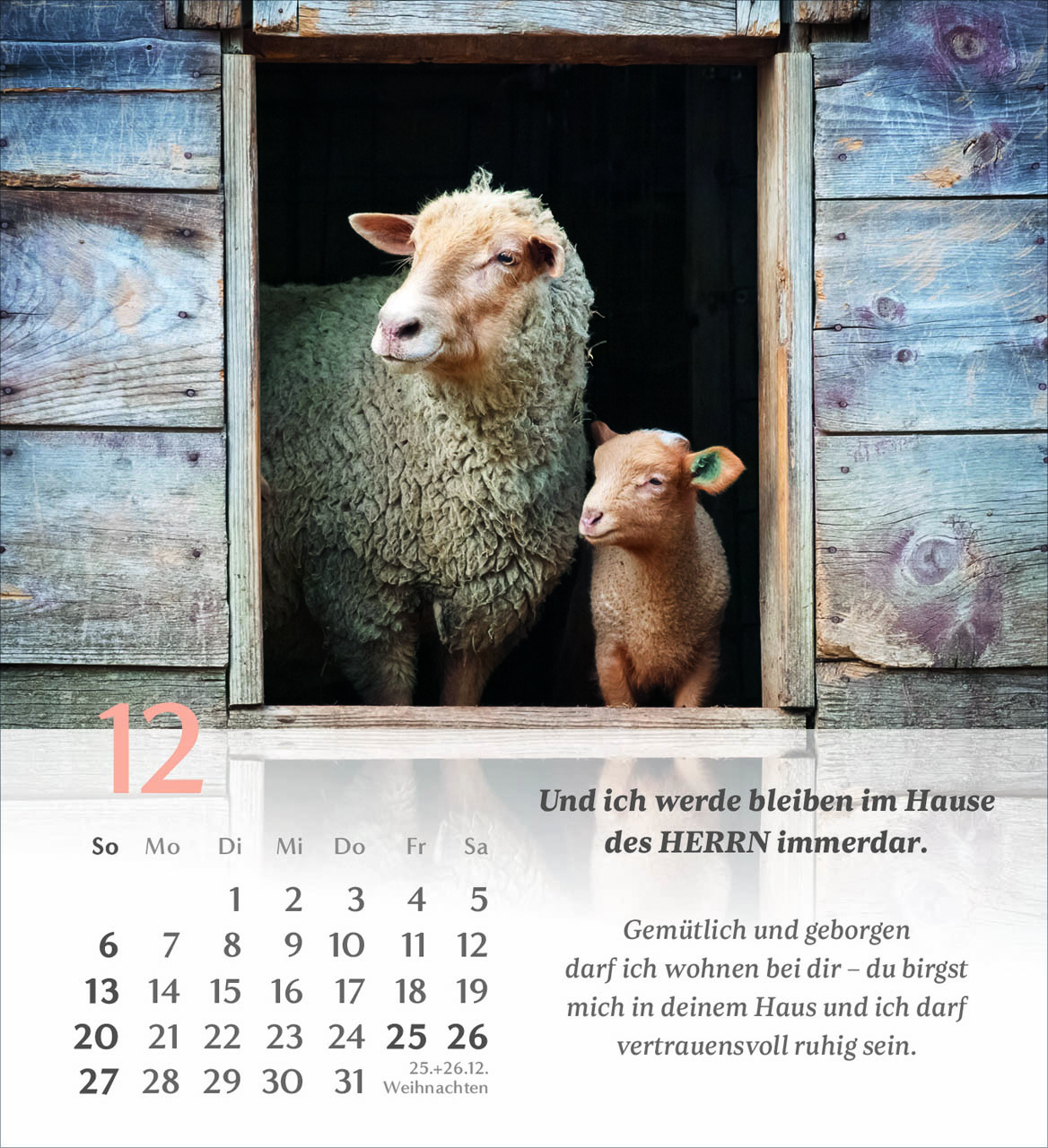 Psalm 23 Tischkalender 2026