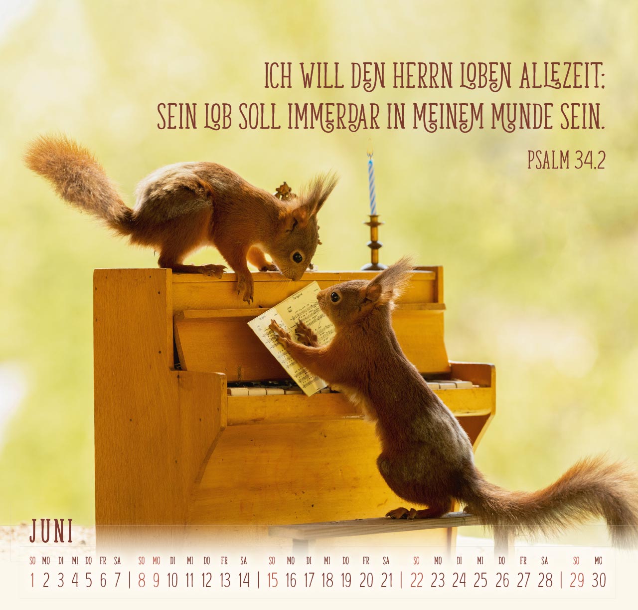 Du machst mich froh - Eichhörnchen Wandkalender