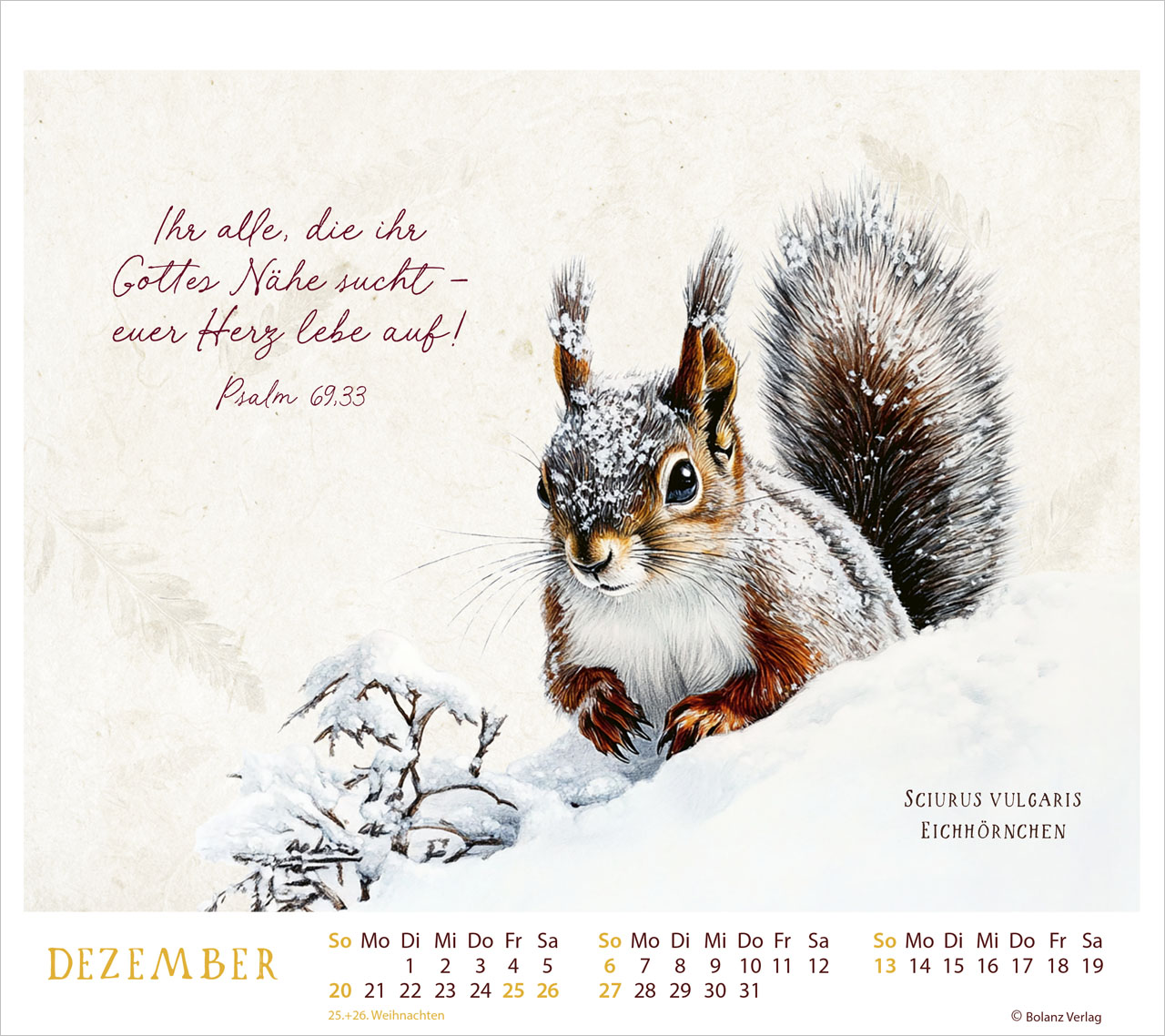 MeisterWerke des Schöpfers 2026 - Tischkalender MeisterWerke des Schöpfers 2026 - Tischkalender