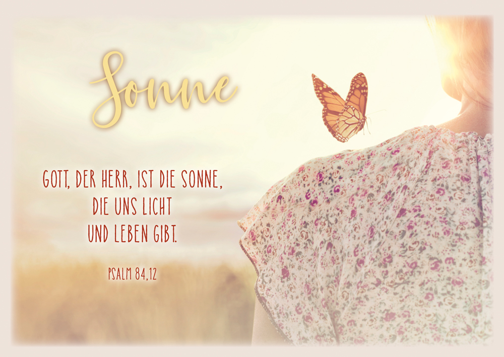 Postkarte Sonne/Schmetterling