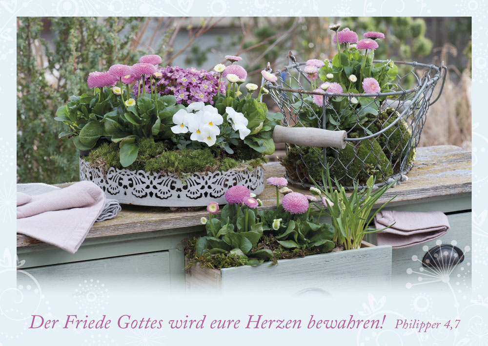 Postkarte Der Friede Gottes wird eure Herzen bewahren!