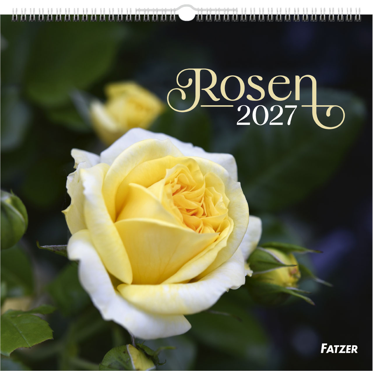 Rosen 2027 – Wandkalender