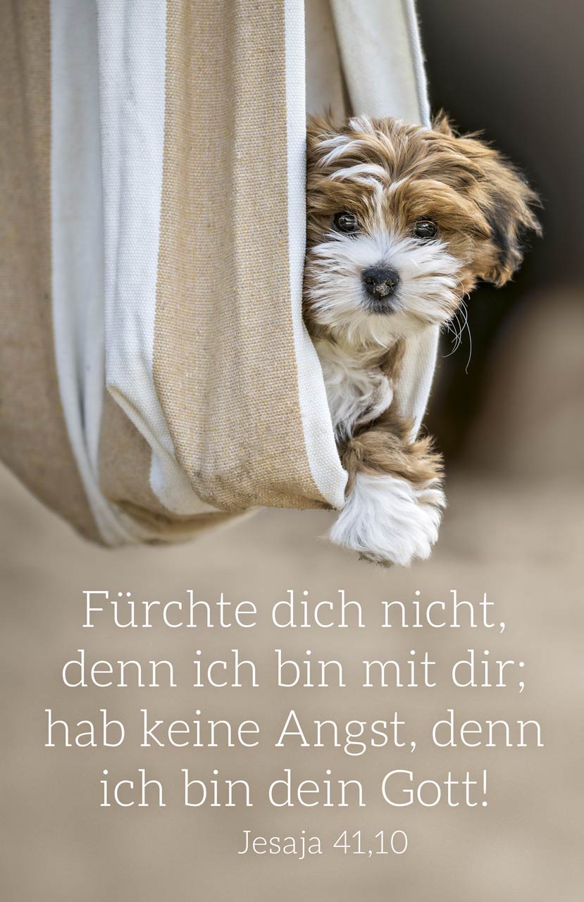 Postkarte Jahreslosung 2027 Hund