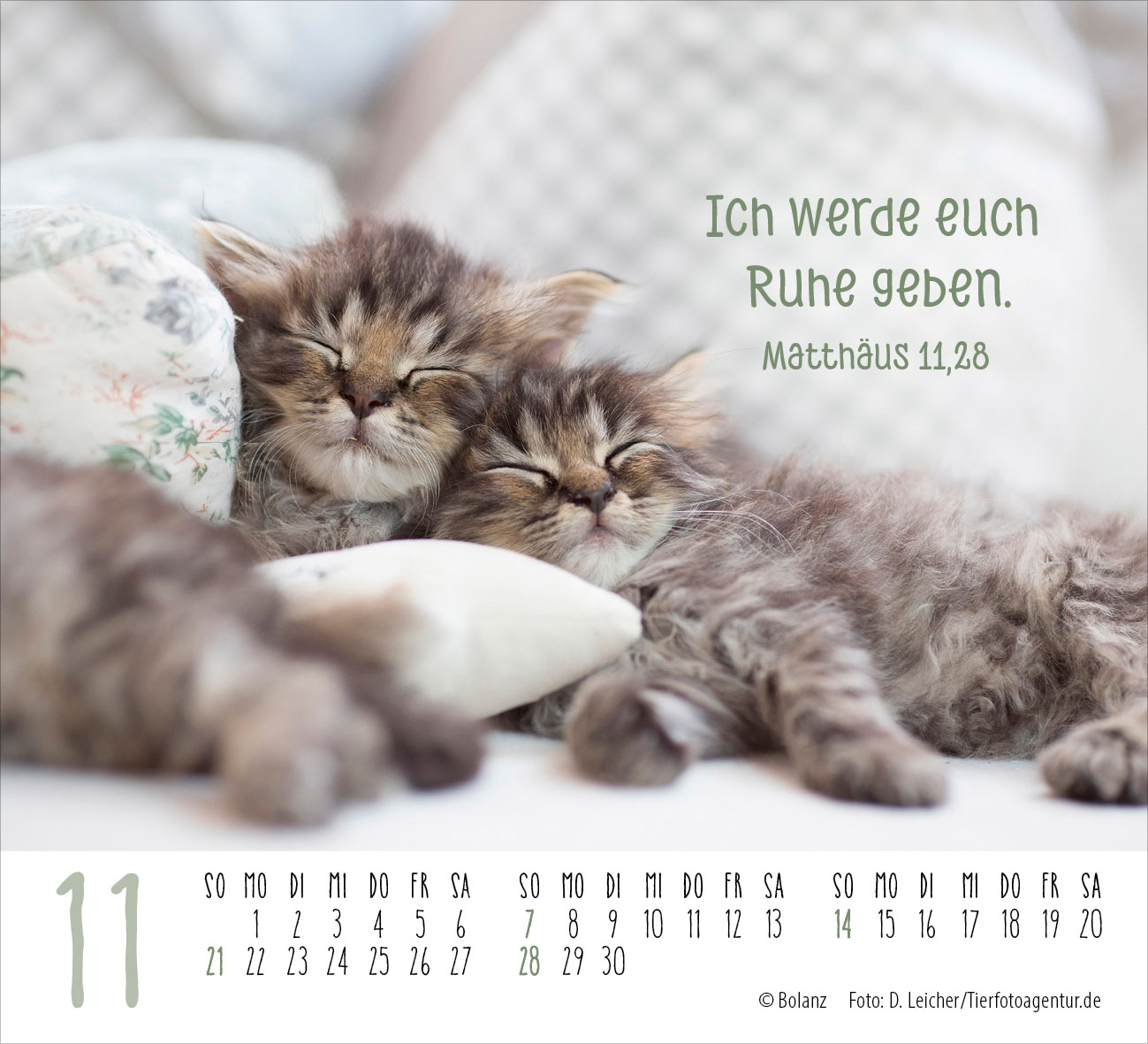 Begegnungen – dich vergess ich nie 2027 – Minikalender