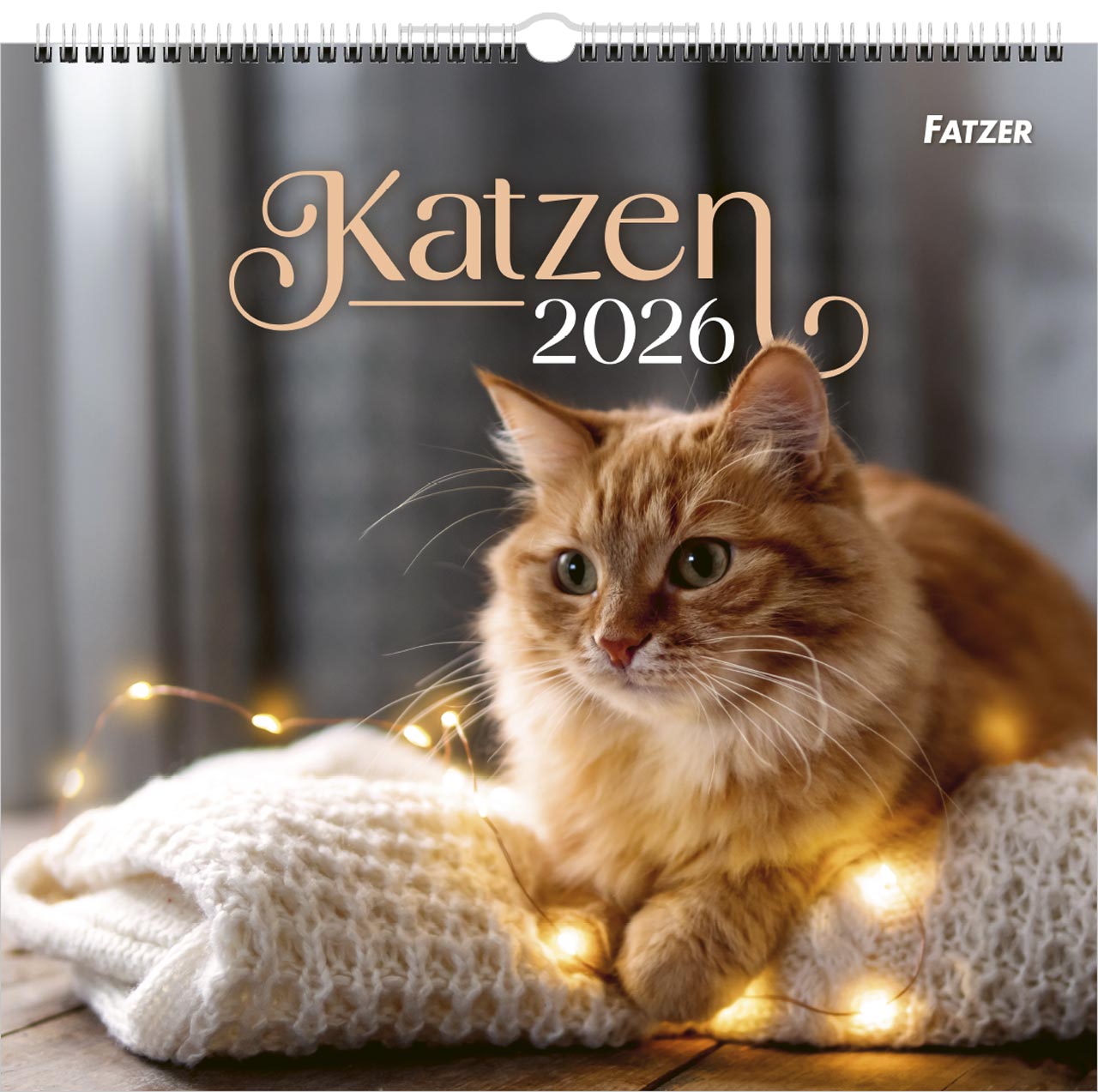 Katzen Wandkalender 2026